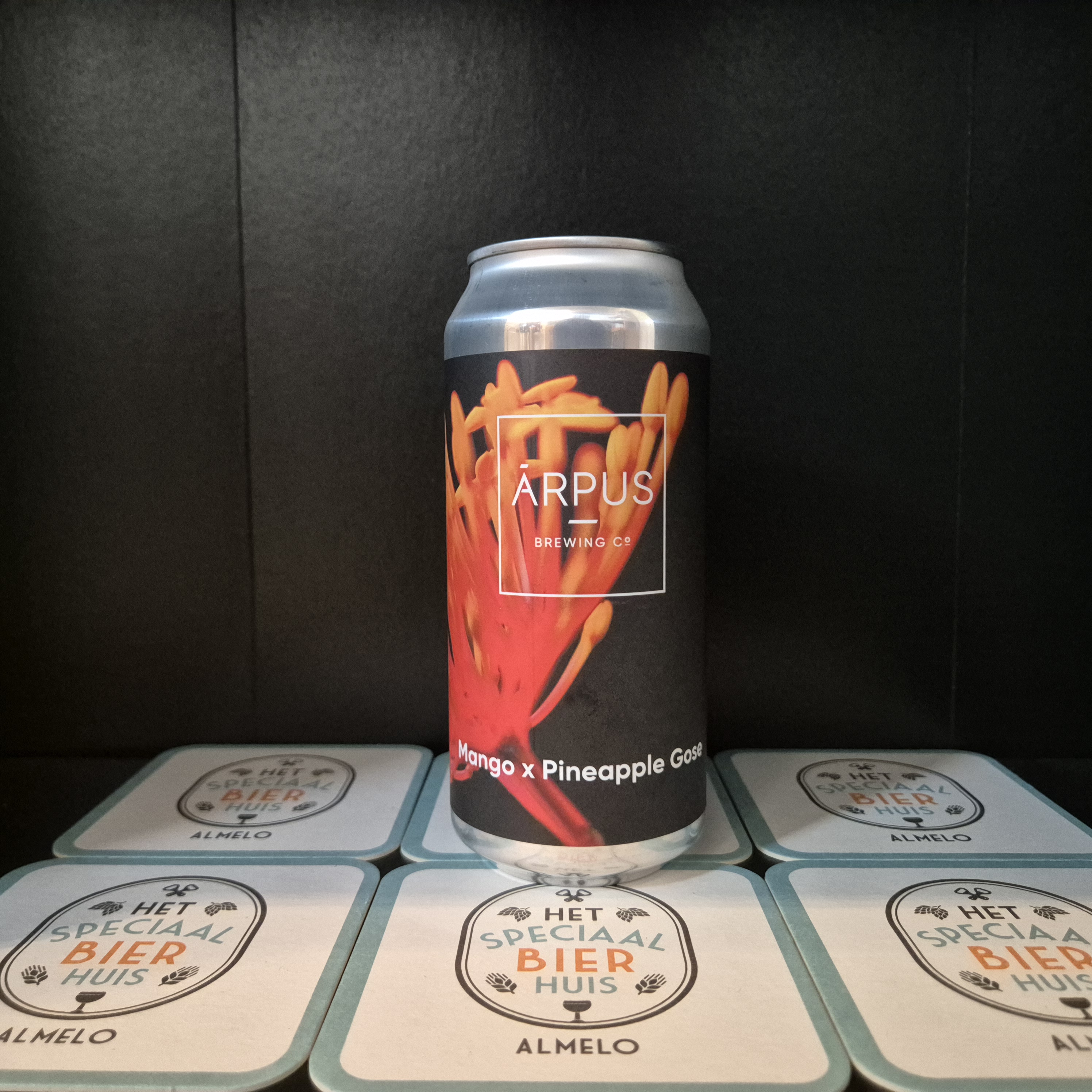 Arpus Mango x Pineapple Gose - 440ml - 4,5%